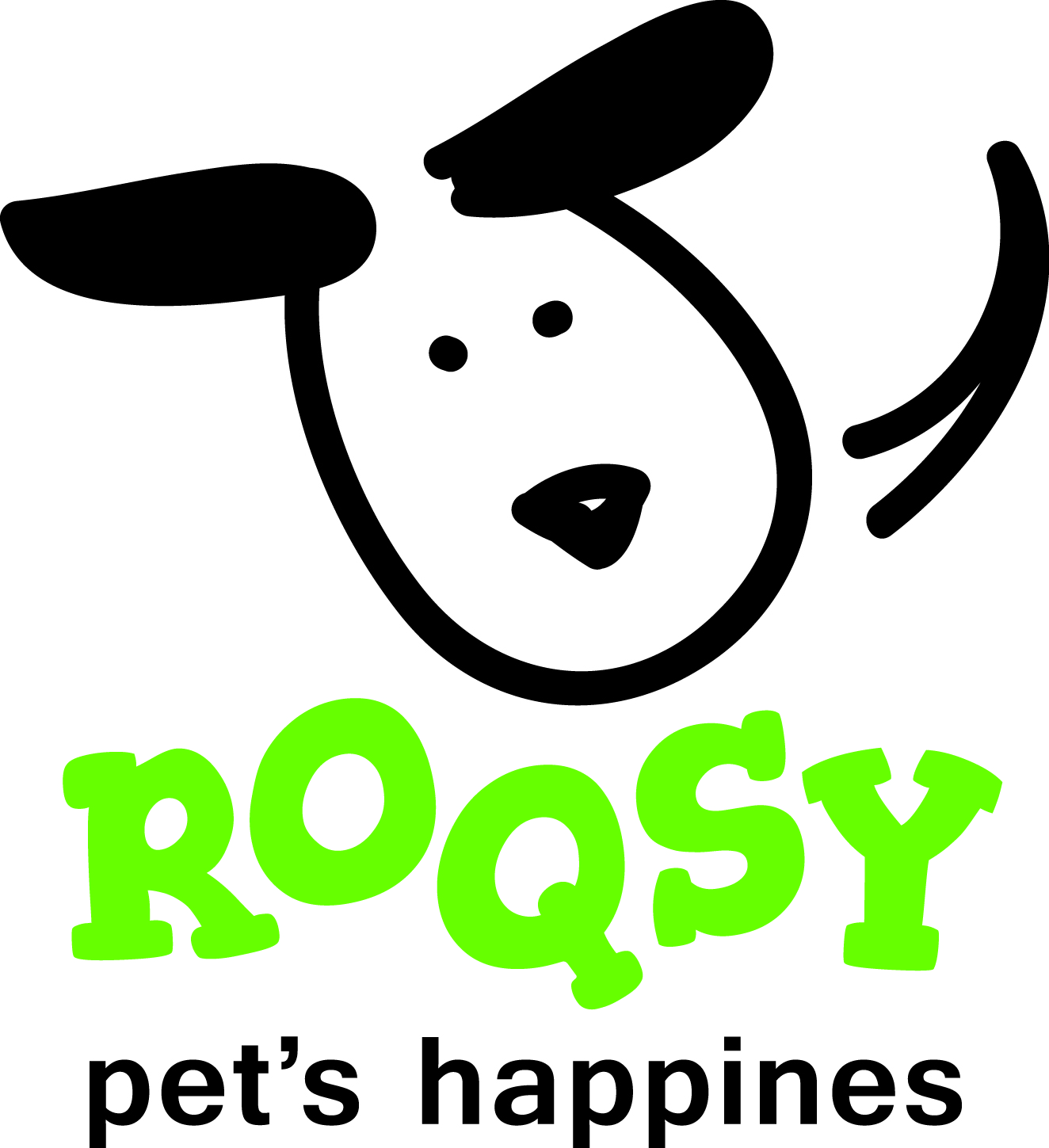 ROQSY-Website – Live